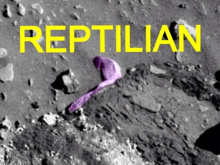 Reptile on planet MARS
